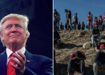 donald-trump-illegal-aliens