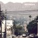 hollywood