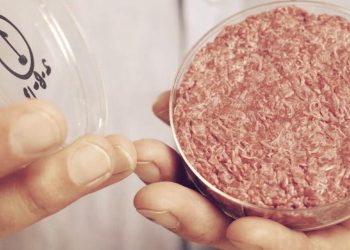 Lab-Grown Meat