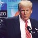 Trump NATO