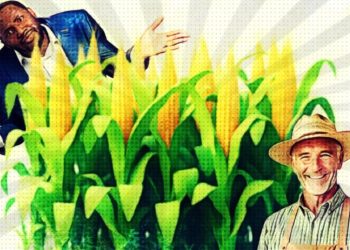 White African Farmers