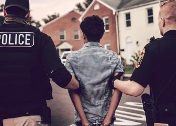 Illegal Alien Gangs