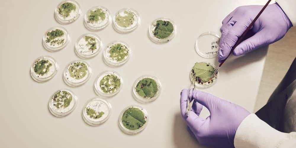 Terrana Biosciences