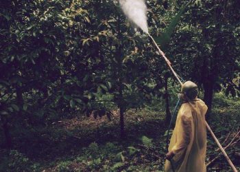 mrna-rna-spray-food-farm-moderna-bioengineer