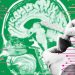 Brain Hack