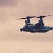 Chinook
