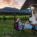 RV Adventure
