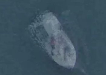 Unidentified Submersible Object