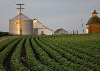 Illinois Soybean Farmers
