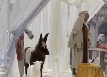 Nativity