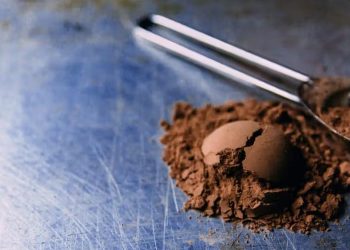 Cocoa Extract Supplement