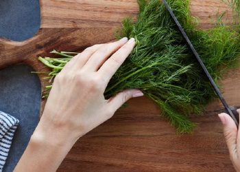 Dill
