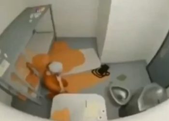 Fake Epstein Video