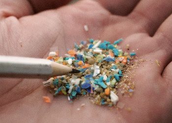 Microplastics
