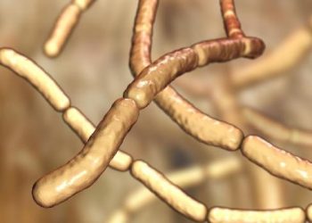 Photosynthetic Bacteria