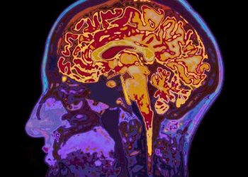 Brain Inflammation