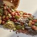 Seeds