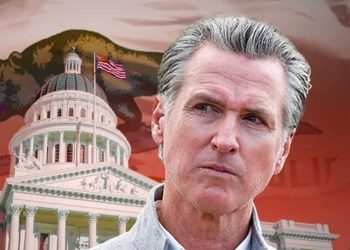 Gavin Newsom