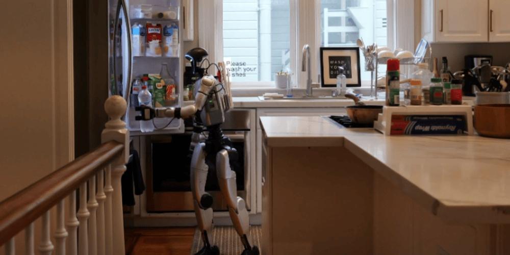 Maid Robot