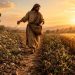 Parable of the Sower