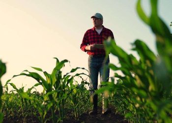 Farmer