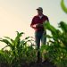 Farmer
