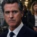 Gavin Newsom