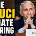Fauci Hearing