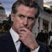 Gavin Newsom