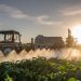 Pesticides