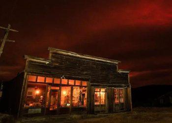 Bodie